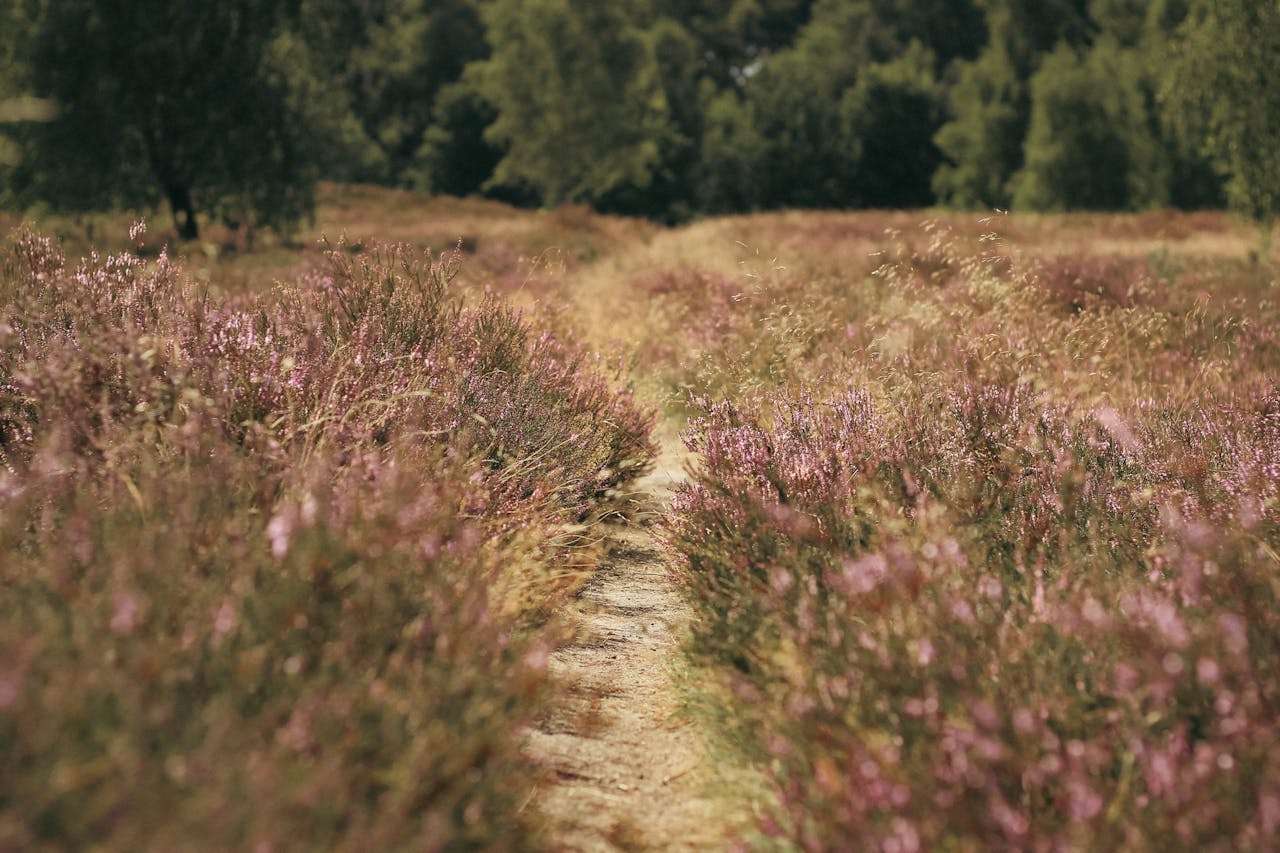 Motiverande samtal (MI)